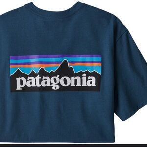 Patagonia Kids Heathered Blue Tee